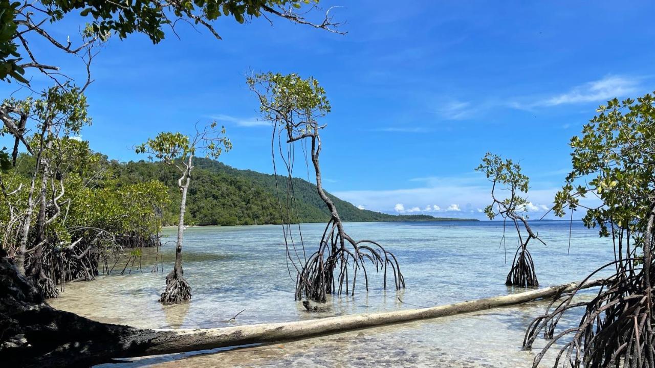 Nyande Raja Ampat Hotell Pulau Mansuar Exteriör bild