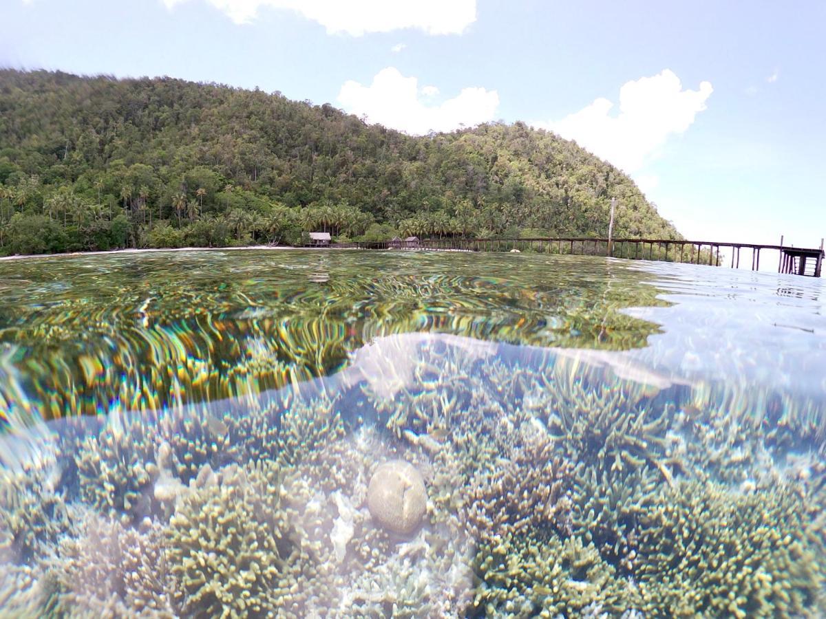 Nyande Raja Ampat Hotell Pulau Mansuar Exteriör bild